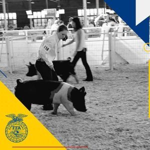 Meet your Posher, Karen